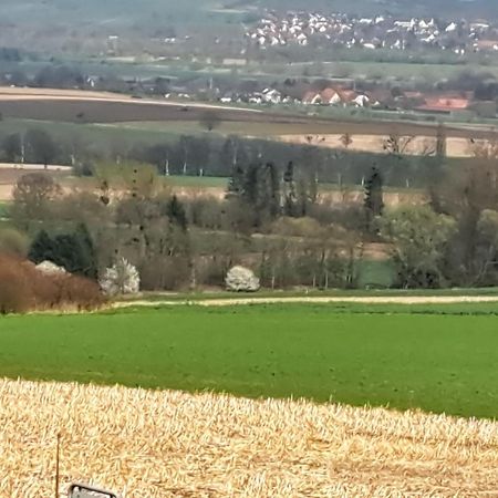 Zur Schoenen Aussicht Hamelín Exterior foto